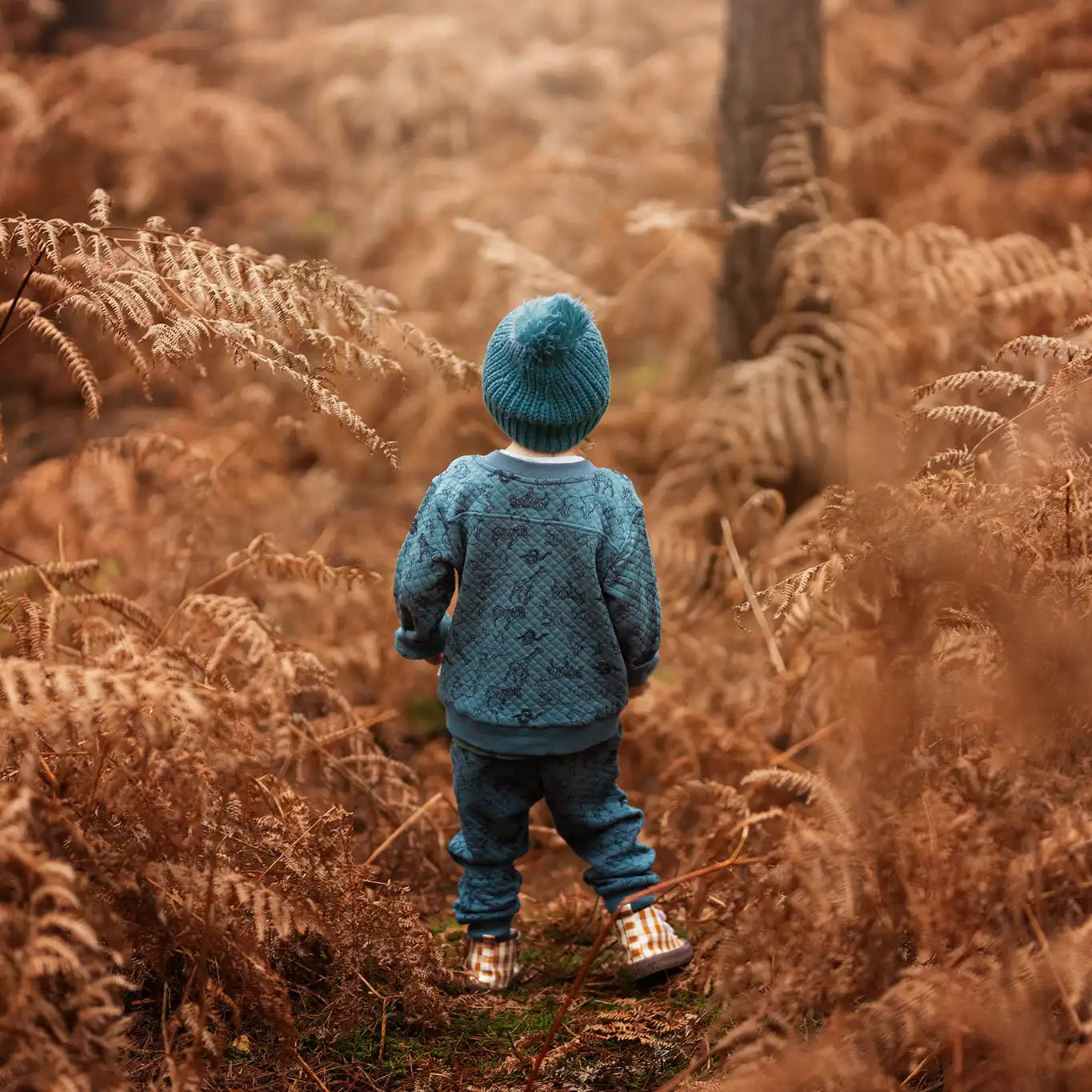 Antebies Kapitone Ceket Hayvanlar Alemi