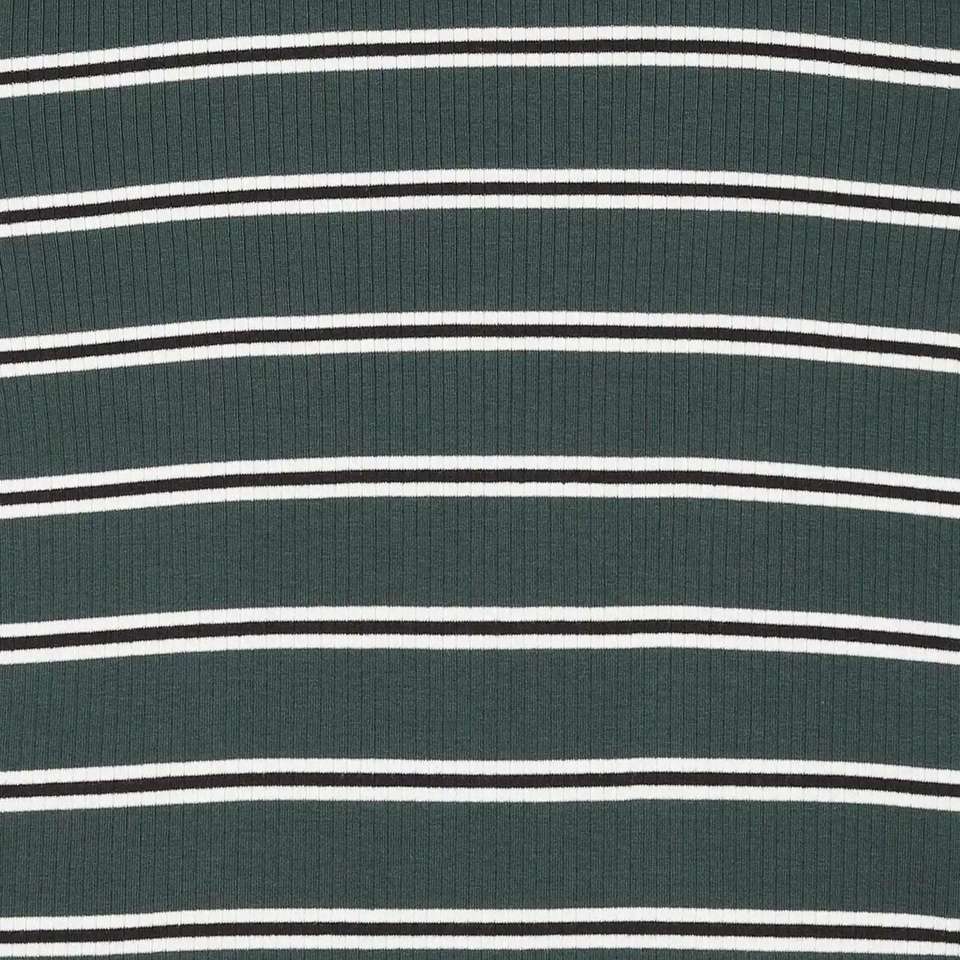 Antebies Kolsuz Barbatöz Galaksi Çizgili