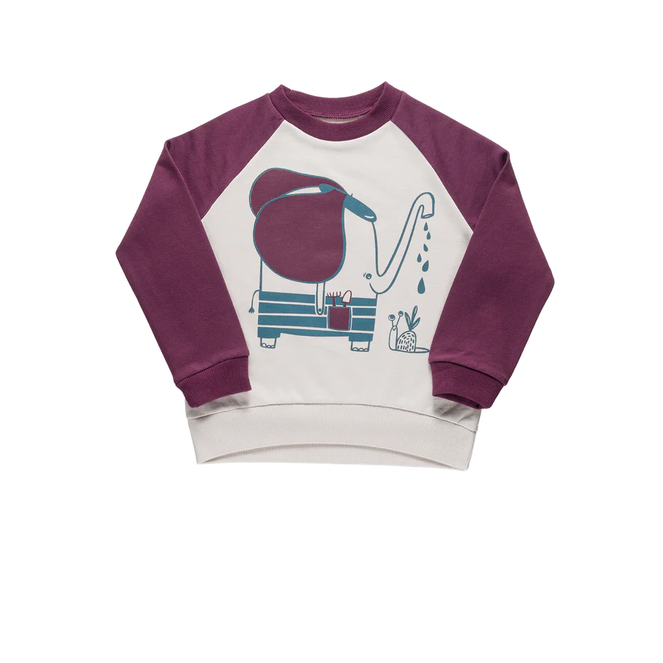 Little Yucca Grow Sweatshirt Mürdüm