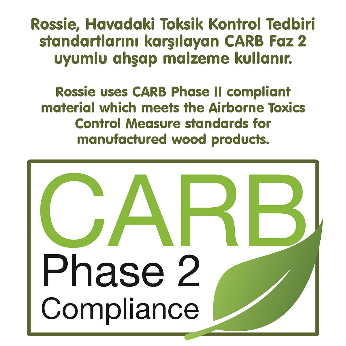 Rossie Renkli Ahşap Bloklar Zeka Oyunu