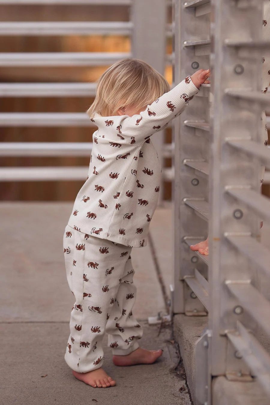 Antebies Bebek Uzun Kollu Tshirt Pantolon Set Rakun
