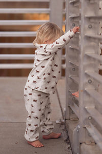 Antebies Bebek Uzun Kollu Tshirt Pantolon Set Rakun
