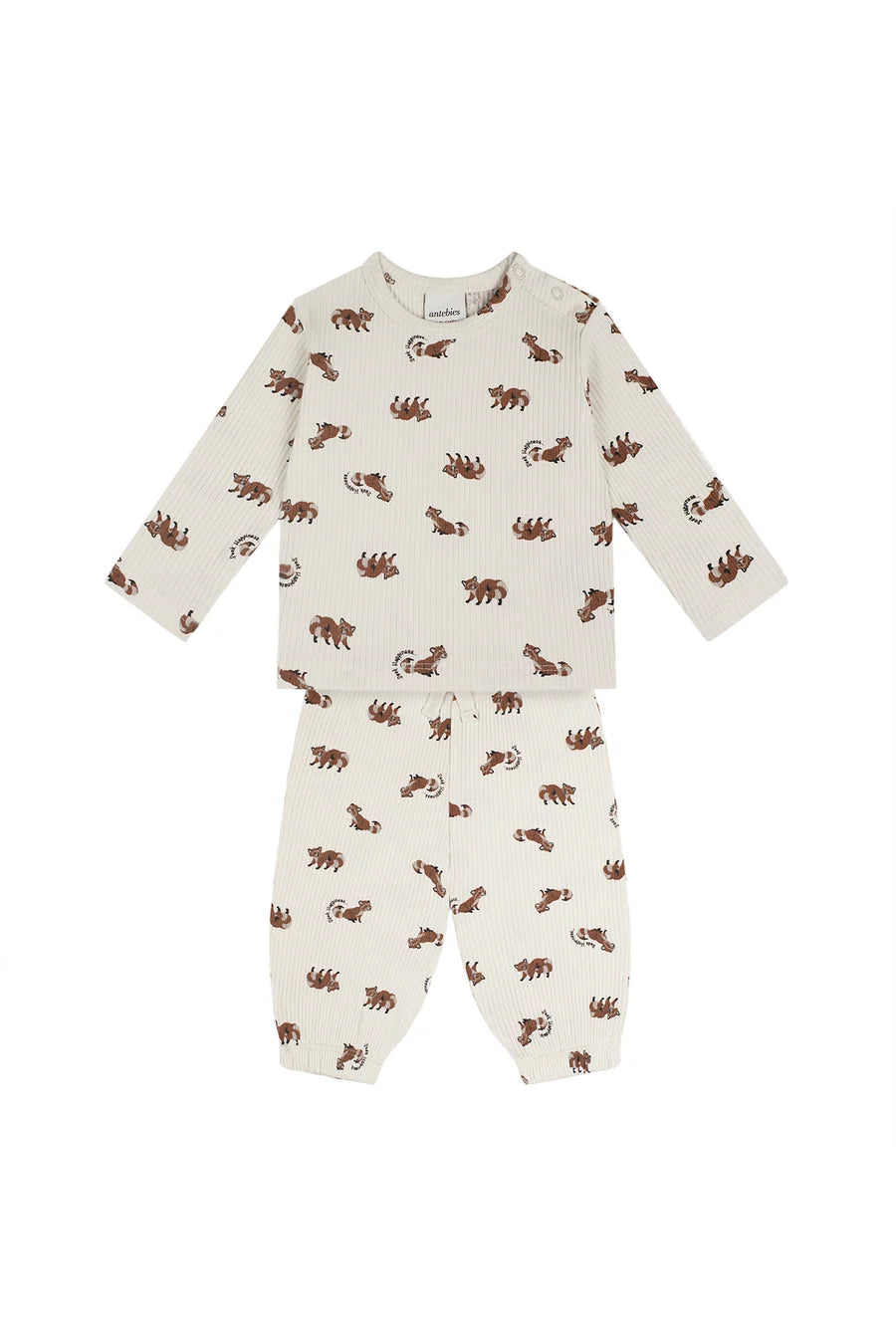 Antebies Bebek Uzun Kollu Tshirt Pantolon Set Rakun