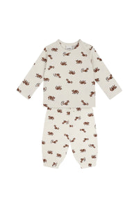 Antebies Bebek Uzun Kollu Tshirt Pantolon Set Rakun
