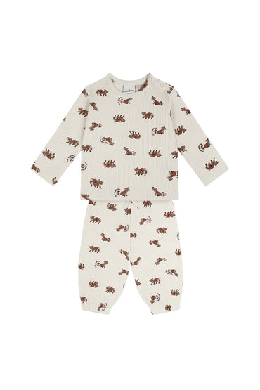 Antebies Bebek Uzun Kollu Tshirt Pantolon Set Rakun