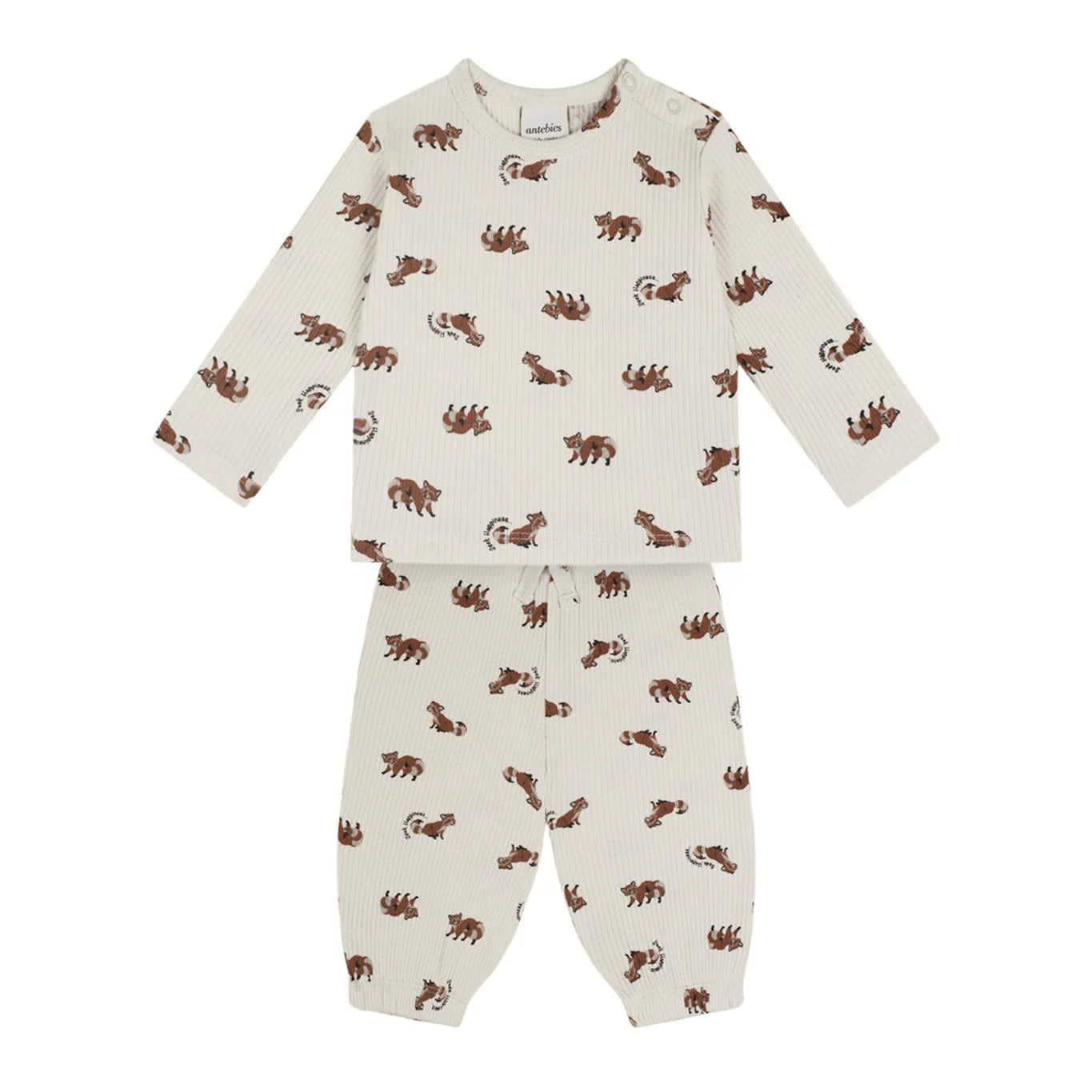 Antebies Bebek Uzun Kollu Tshirt Pantolon Set Rakun