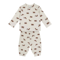 Antebies Bebek Uzun Kollu Tshirt Pantolon Set Rakun