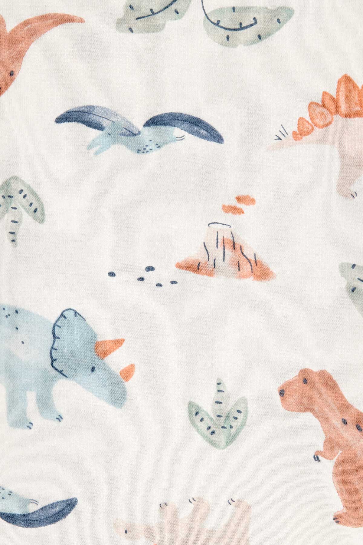 Carter's Erkek Bebek Uzun Kollu 4lü Body Dinozor Baskılı