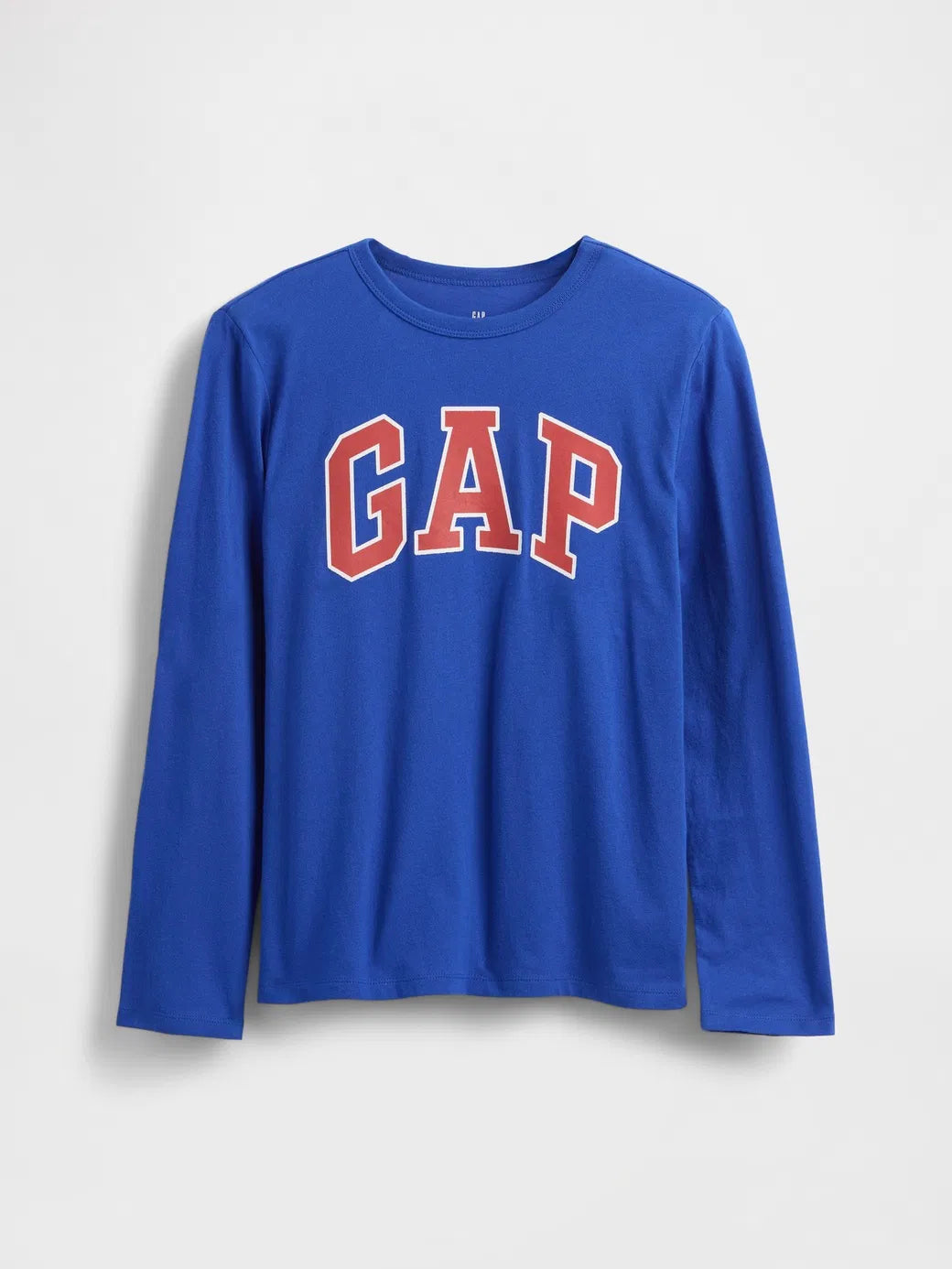 Gap Erkek Çocuk Logo Tshirt Mavi