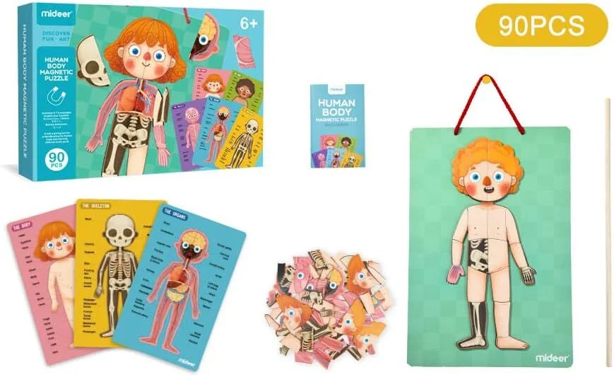 Mideer Body Magnet Eğitici İnsan Vücudu Oyun Seti 90 Parça