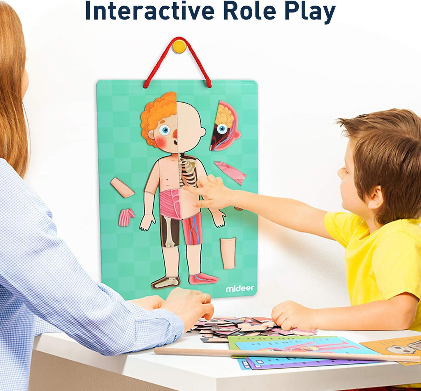 Mideer Body Magnet Eğitici İnsan Vücudu Oyun Seti 90 Parça