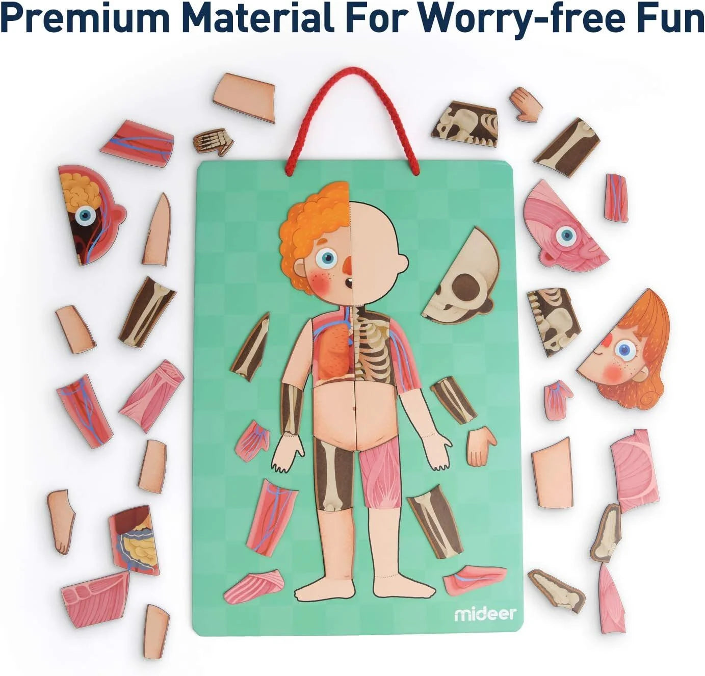 Mideer Body Magnet Eğitici İnsan Vücudu Oyun Seti 90 Parça