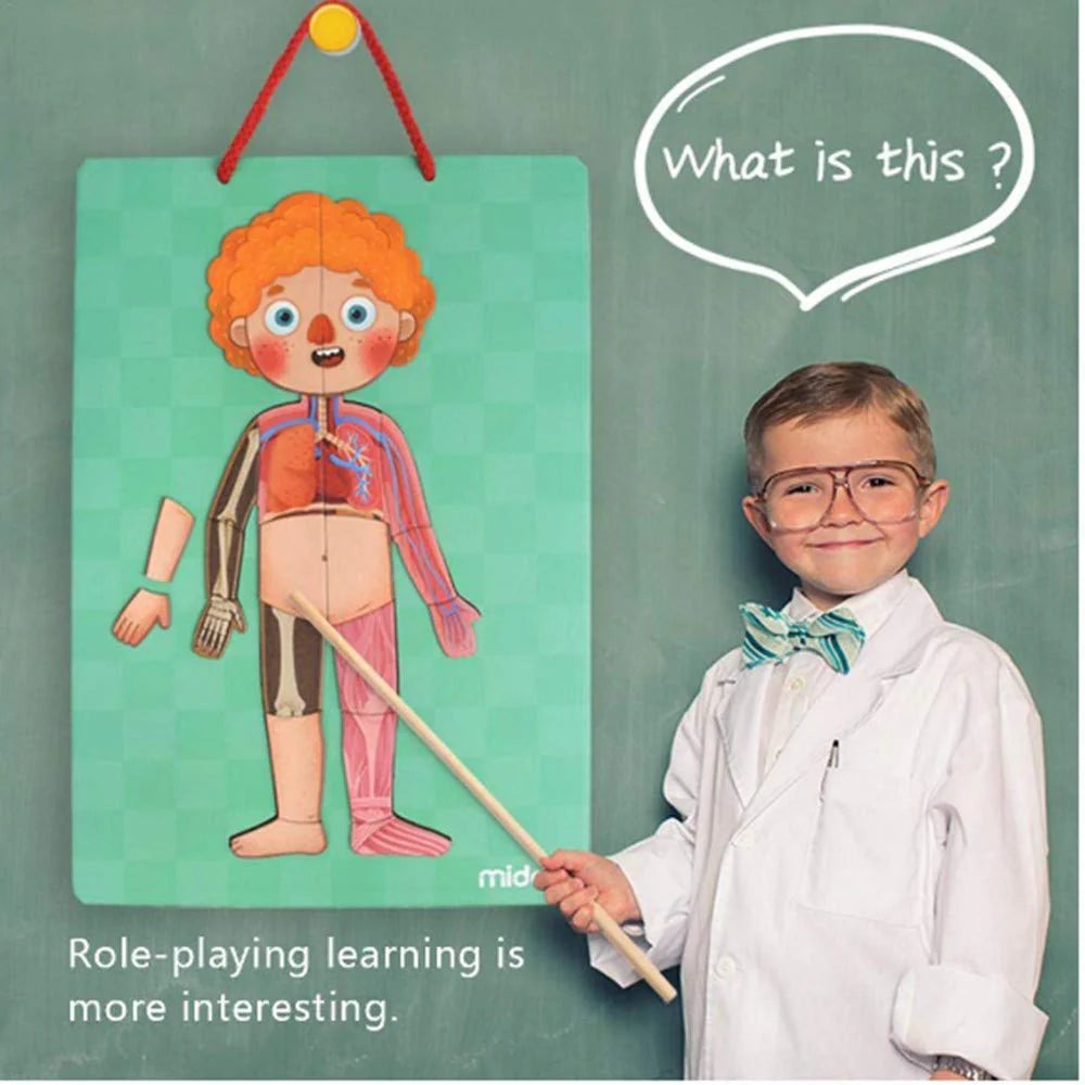 Mideer Body Magnet Eğitici İnsan Vücudu Oyun Seti 90 Parça