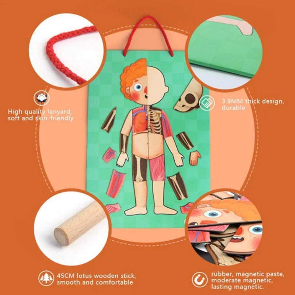 Mideer Body Magnet Eğitici İnsan Vücudu Oyun Seti 90 Parça