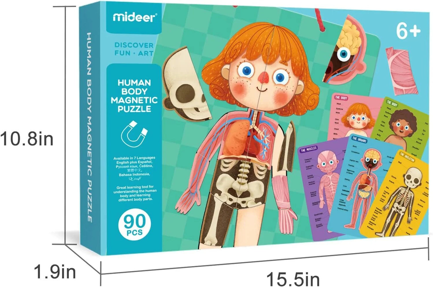 Mideer Body Magnet Eğitici İnsan Vücudu Oyun Seti 90 Parça