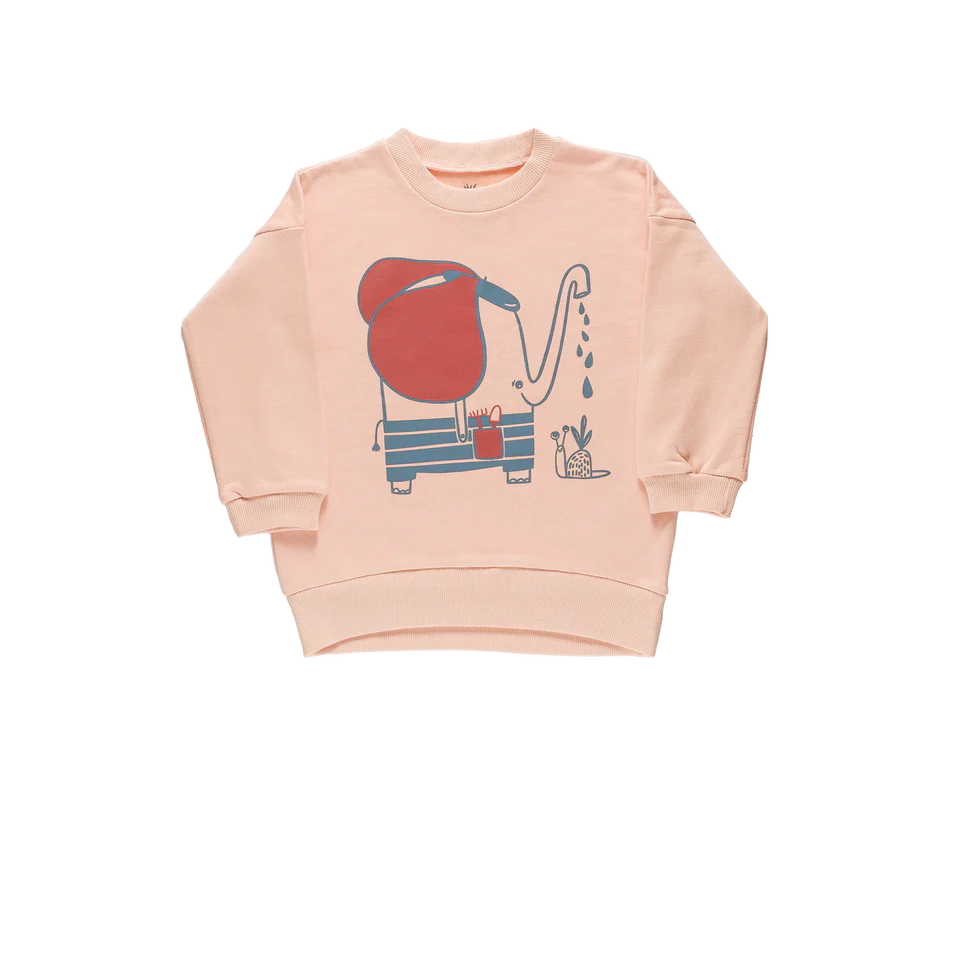 Little Yucca Grow Sweatshirt Somon