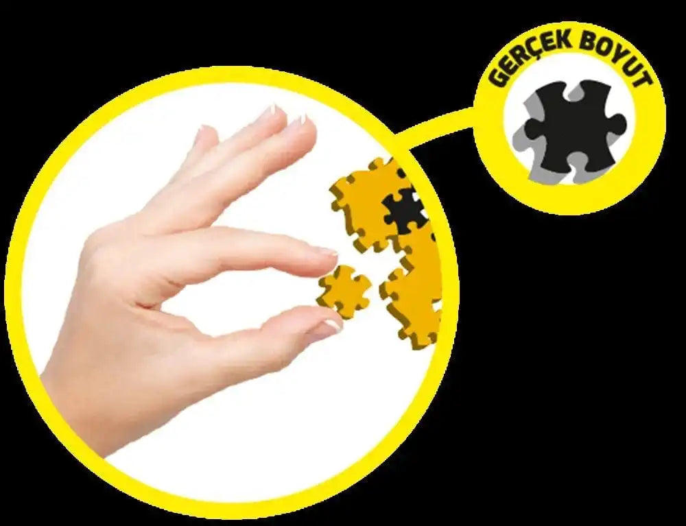 Jixaw Puzzle Orman Hayvanları