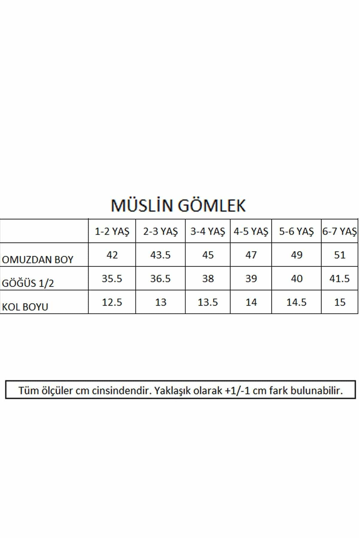 Miela Kids Gömlek Miela Kids Müslin Gömlek Dondurma Nakışlı Lacivert